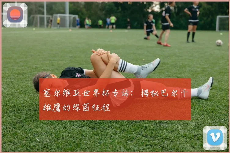 塞尔维亚世界杯专访：揭秘巴尔干雄鹰的绿茵征程
