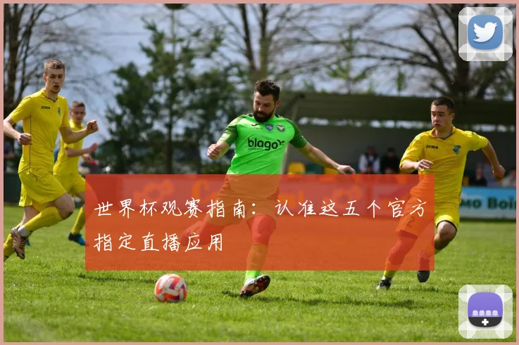 世界杯观赛指南：认准这五个官方指定直播应用