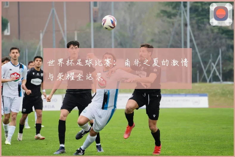 世界杯足球比赛：南非之夏的激情与荣耀全记录