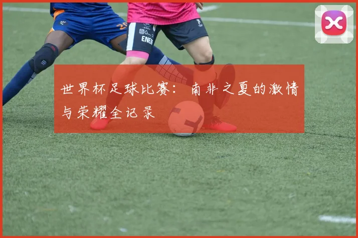 世界杯足球比赛：南非之夏的激情与荣耀全记录