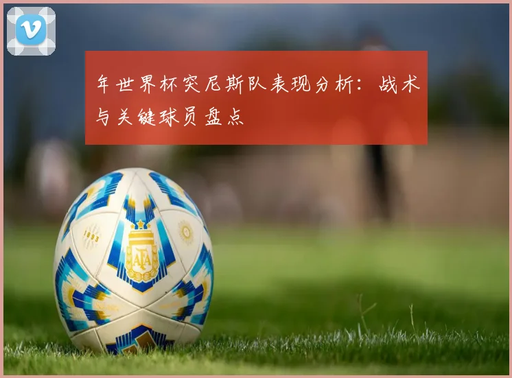 年世界杯突尼斯队表现分析：战术与关键球员盘点