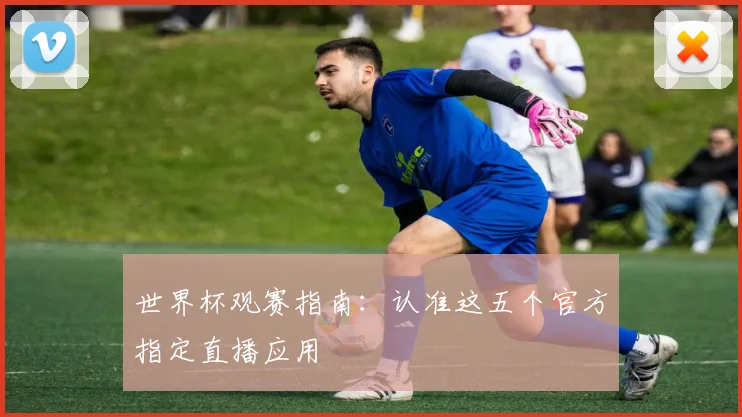 世界杯观赛指南：认准这五个官方指定直播应用