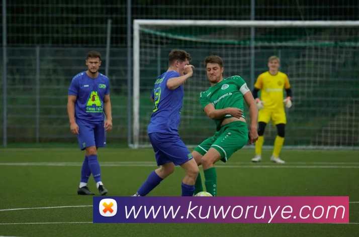 西班牙加时力克荷兰捧南非世界杯冠军全场焦点回顾